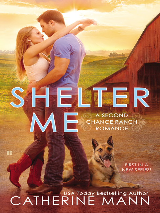 Cover image for Shelter Me